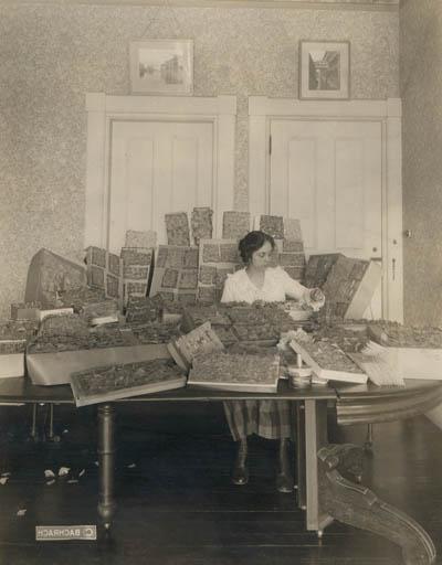 蛋白石年代. 怀特利和她的日记碎片照片